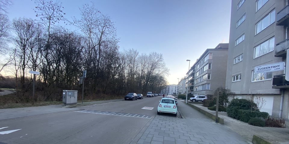 Heraanleg Eugeen Fahylaan Deurne